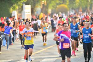 BIB: 26578, 20297, 2010
                            <button type="button" onclick="openModal(12775519)" class="btn btn-primary btn-sm float-right btn-popup" data-toggle="modal" data-target=".modal-high-quality">
                        <i class="fas fa-shopping-cart"></i> Add to Cart
                    </button>
                                            <button type="button" onclick="isThisMe(12775519, true)" class="btn btn-success btn-sm float-right btn-popup btn-isme hidden" data-toggle="tooltip" data-placement="bottom" title="นี่คือรูปของคุณใช่ไหม คลิกที่นี่เพื่อเอาเข้าอัลบั้ม">
                        <i class="fas fa-plus"></i> Add to album
                    </button>
                    <button type="button" onclick="isThisMe(12775519, false)" class="btn btn-warning btn-sm float-right btn-popup btn-isnotme hidden">
                        <i class="fas fa-ban"></i> Remove from album
                    </button>